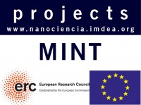 MINT Mechanically Interlocked Carbon Nanotubes MINT Mechanically Interlocked Carbon Nanotubes