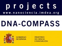 DNA-COMPASS Super-resolution microscopy of DNA: optimization through correlative microscopy and spectroscopy DNA-COMPASS Super-resolution microscopy of DNA: optimization through correlative microscopy and spectroscopy