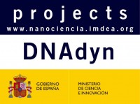 DNAdyn Single molecule studies of the mitochondrial DNA repliciation dynamics DNAdyn Single molecule studies of the mitochondrial DNA repliciation dynamics